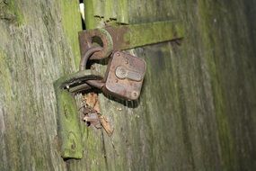 padlock in the forest lodge