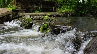 tiny waterfall on the river