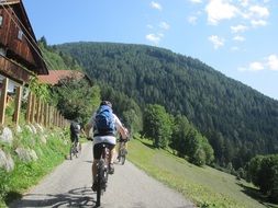 cyclists on road to green mountains, italy
