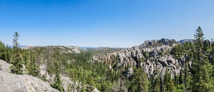 Green forest park wyoming panorama