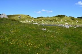 landscape of valley with green grass