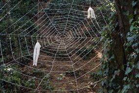 sculpture of a web in the forest