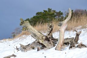 extraordinarily beautiful winter nature