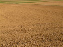 Landscape of the arable field