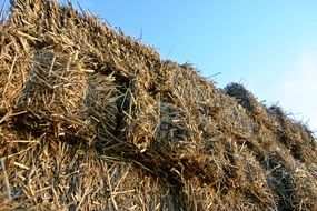 bottom view of the straw bale