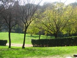 park in spring