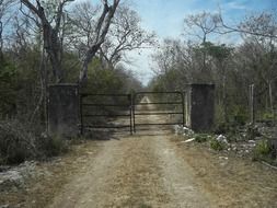 old iron gate in the countryside