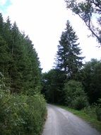 hiking trails in the park