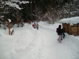 children in the snowy forest