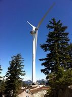 Windmill in the forest
