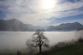 idyllic landscape in the mountains of switzerland