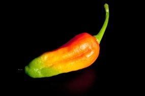 orange green chili