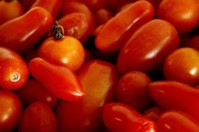 shiny different tomatoes closeup