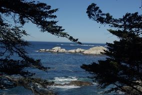 stones in the water near the shore with trees