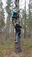 two girls climbing tree at forest