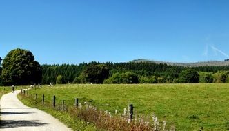 meadow peaceful summer landscape