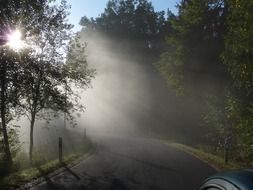 morning fog on a rural road