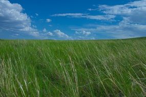 wonderful prairie