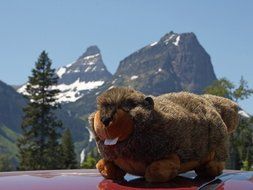 Soft toy of the marmot