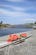 sliced watermelon on the rock