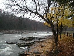 extraordinarily beautiful stream river