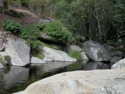 amazing riverscape