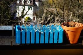 flower blue box brown flowerpot