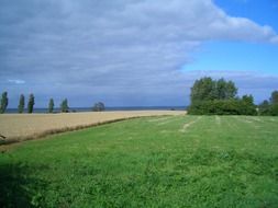 agricultural fields in denmark