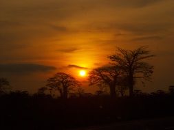 sunset in africa