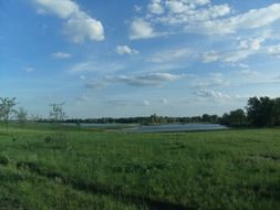 green meadow near the lake