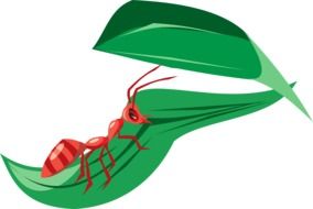 red ant on a green leaf as a graphic image