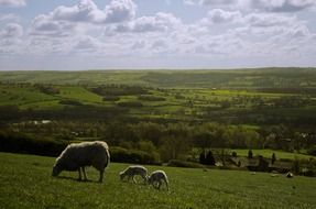 North Yorkshire England spring landscape