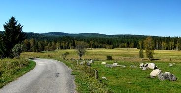 green nature in spring