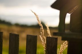 extraordinarily beautiful fence sunset