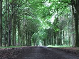 scenic walking trail in Salisbury