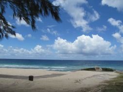 landscape of tropical beach in Barbados island