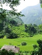 panoramic view of the scenic landscapes of annapurna