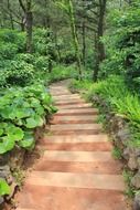 staircase among green picturesque nature