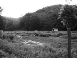 black white landscape shot