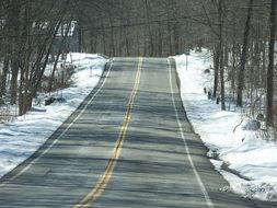 Empty road in snowy forest