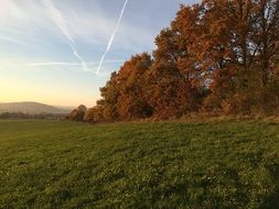 autumn landscape in the rays of the evening sun