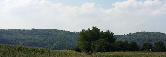 Green hills near the forest
