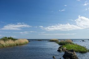 sea baltic blue reed coast sky view