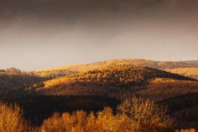 mountain forest in autumn
