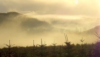 fog mountains peaks