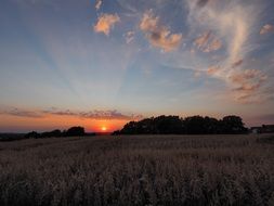 Landscape of village field at the sunset