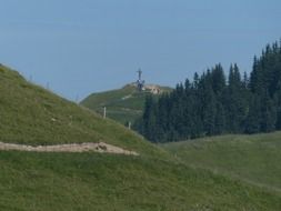 Alpine mountains near the pine forest