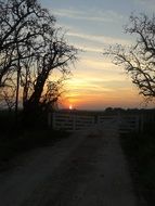 sunset on the horizon of the road
