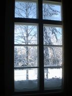 winter landscape through the window