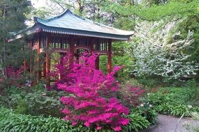 botanical garden berlin